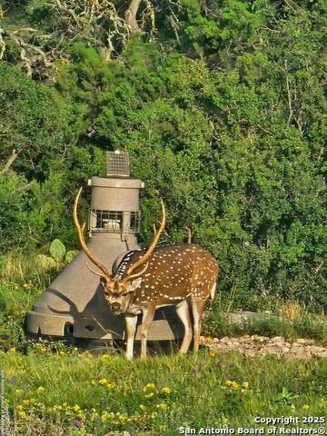 2724 Sd 24910 - Photo 1