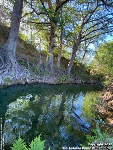 82 Private Rd 3800   Fm 187 S - Photo 1