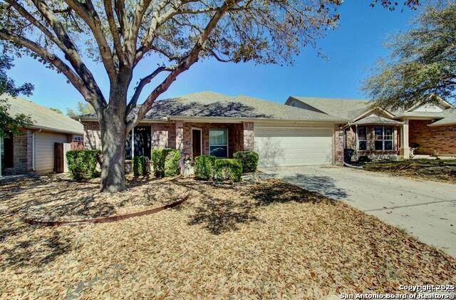 10711 Cougar Chase - Photo 1