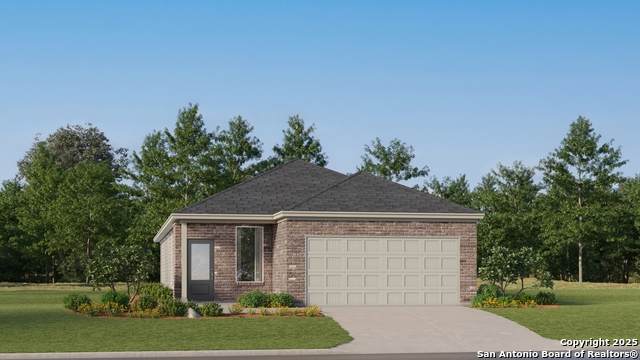 11727 California Rose - Photo 1