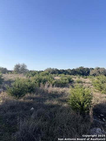 27407 Sunset Loop - Photo 1