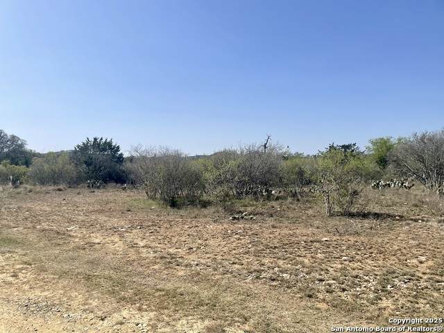 N/A (Lot 22 & 23) Brown Saddle - Photo 1