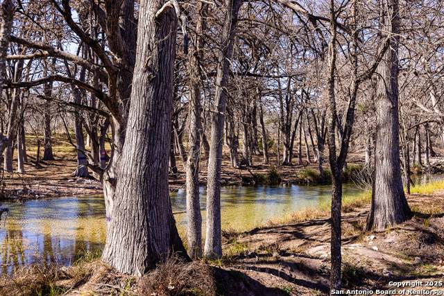 2400 Little Dry Frio Road - Photo 1