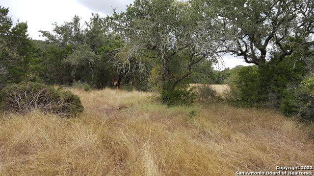 76371 Pr 2776 Mico, Tx 78056 - Photo 1
