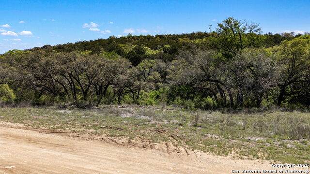 0 State Highway 16 - Photo 1