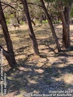 0 Blue Gill - Photo 1