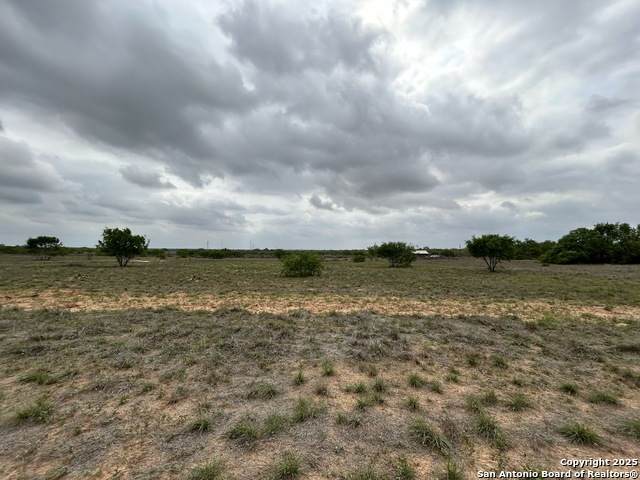 LOTS21-22&30-31 County Road 1629 Hillcounty - Photo 1