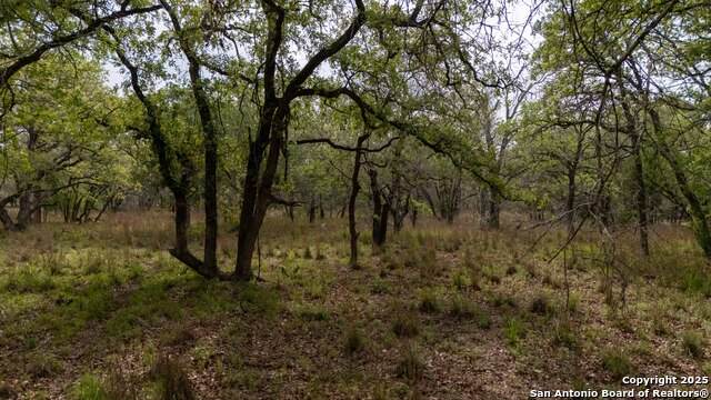 TBD Post Oak - Photo 1