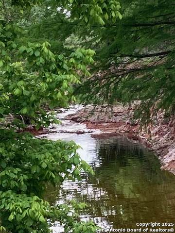 702 Schubert - Photo 1