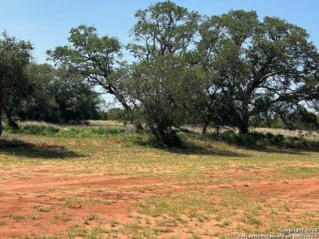 3242 County Road 429 - Photo 1