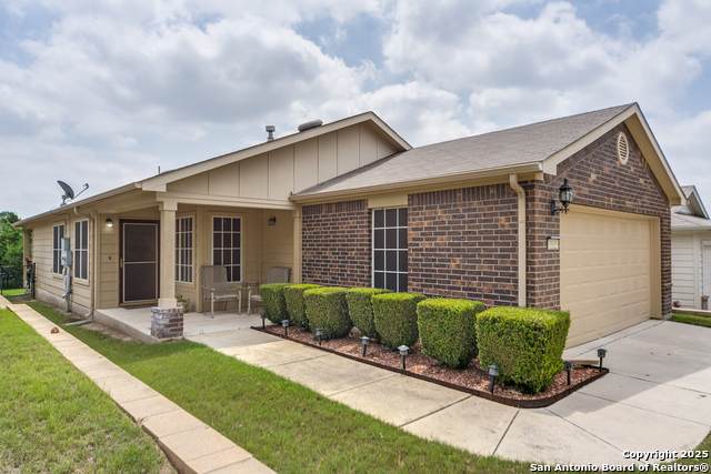 4938 Sandhill Crane - Photo 1