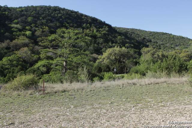 1976 Cedar Creek - Photo 1