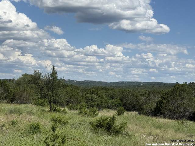 LOTS 2 & 3 Horseshoe Bend - Photo 1