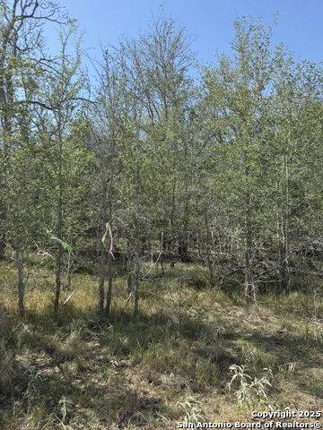 421 Kerr Ave - Photo 1