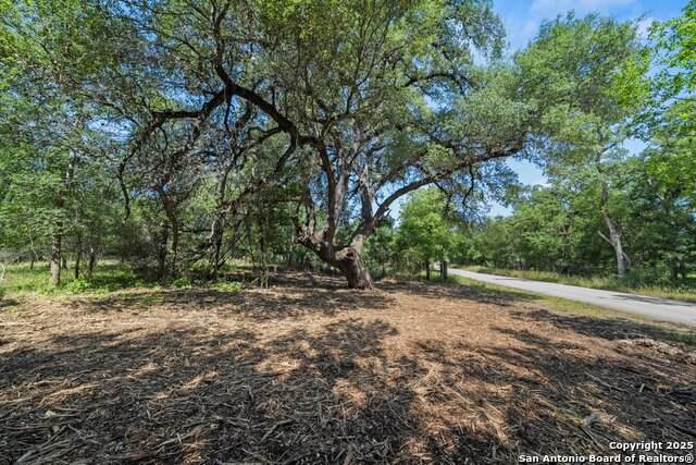 240 Caney Creek Road - Photo 1