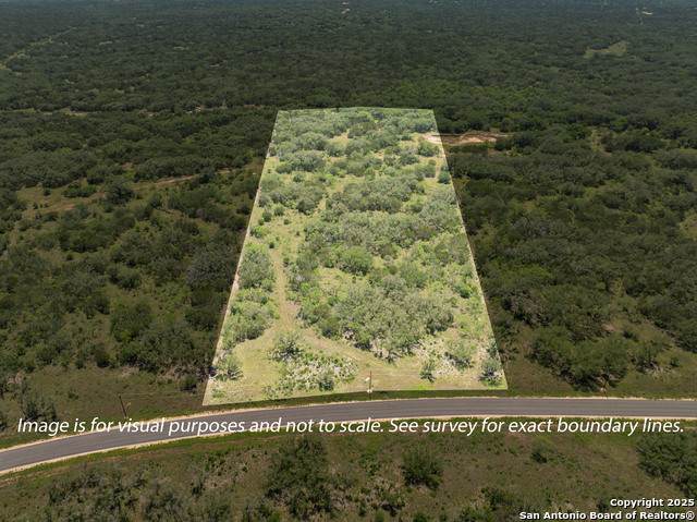 LOT 46 Antler Forest - Photo 1