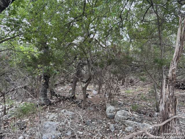 1424 Stahlman - Photo 1