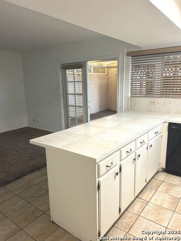 6842 Crown Rdg - Photo 1
