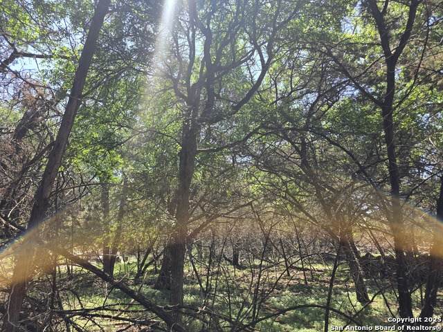 1548 Winding Creek Trail - Photo 1