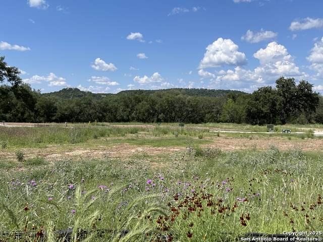 24630 Cliff Line - Photo 1