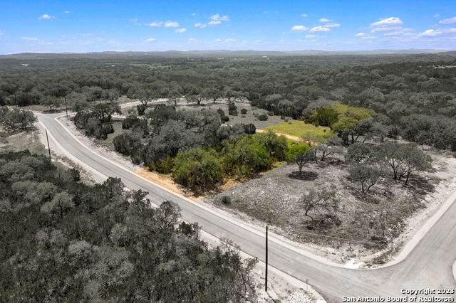 310 Serenity Pass - Photo 1