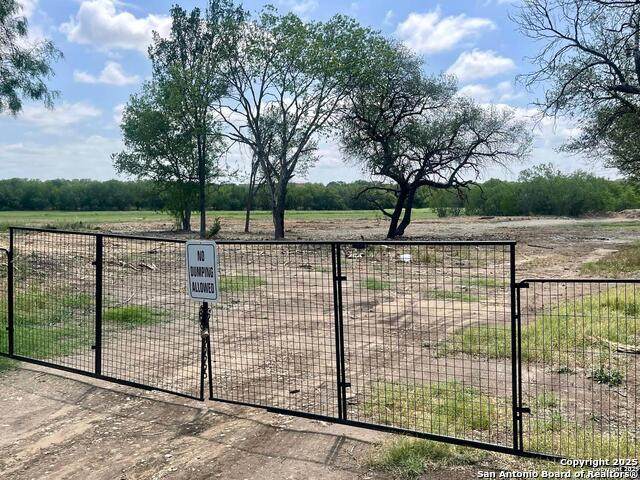 117 Diamond Cv - Photo 1