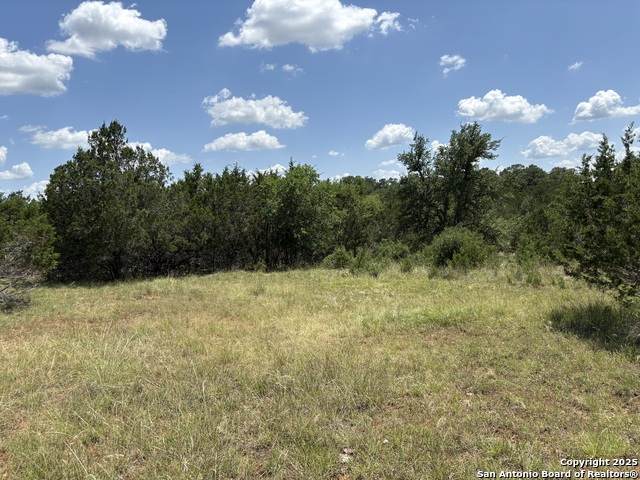 LOT 43 Saddle Tree - Photo 1