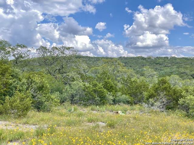 LOT 438 County Rd 2763 - Photo 1