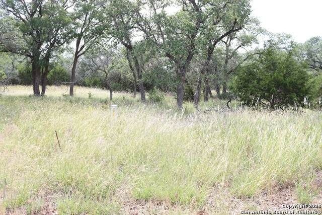 105 Sabella - Photo 1