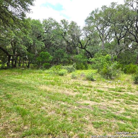 23015 Breeze St - Photo 1