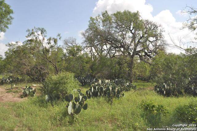 TBD Cr 662 - Photo 1