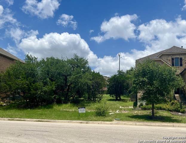 24002 Viento Oaks - Photo 1