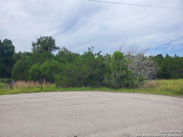 1230 Fir Ln - Photo 1