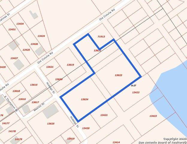 TBD Old Cotulla Rd. - Photo 1