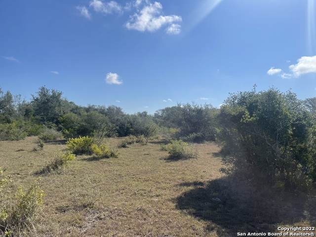 3626 Old Goliad Rd - Photo 1