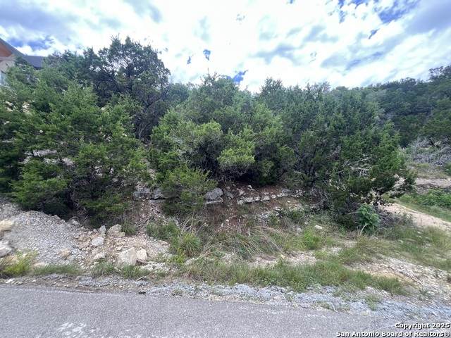 1597 Trail Pass - Photo 1