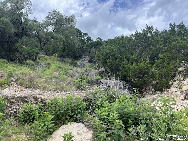 1609 Trail Pass - Photo 1