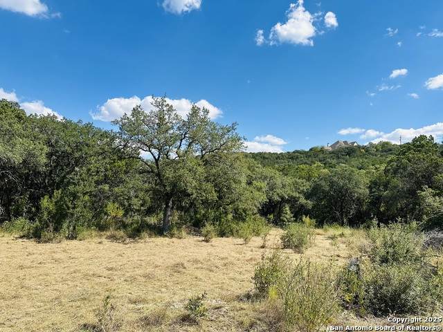 11142 Lago Vista - Photo 1