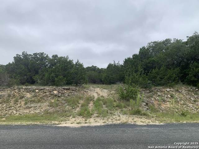 457 Thoroughbred - Photo 1