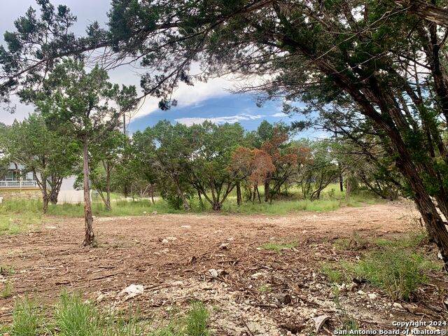 807 Stagecoach - Photo 1