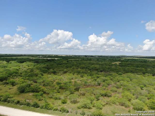 TRACT 6 County Rd 208 - Photo 1