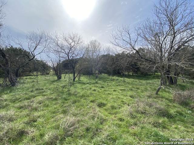 LOT 78 Lake Medina Shores - Photo 1