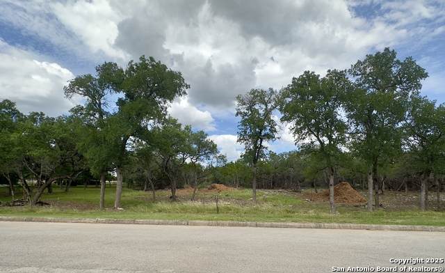 31422 Stephanie Way - Photo 1
