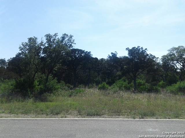 20007 Terra Canyon - Photo 1