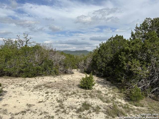 0000 Bear Springs - Photo 1