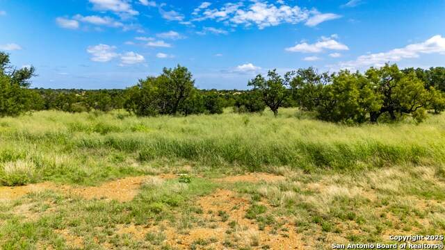 LOT 4 Jack Rabbit Rd - Photo 1