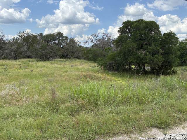 187 Bluff View - Photo 1