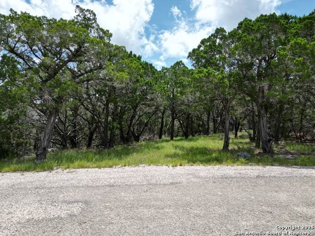 2175 Goat - Photo 1