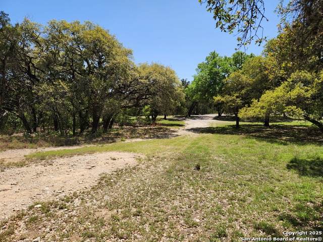 19225 Scenic Loop - Photo 1