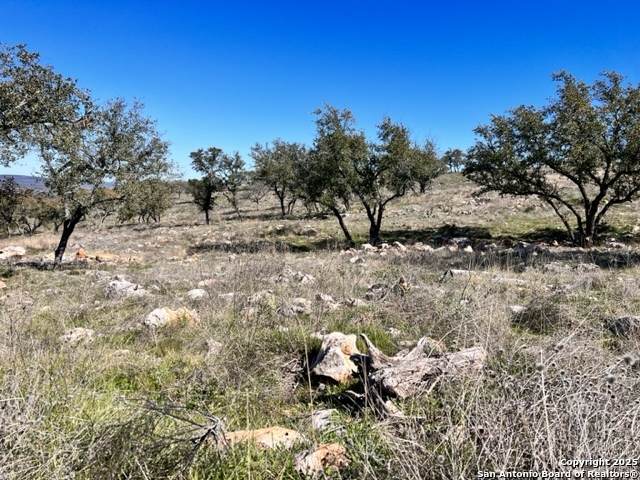 TBD LOT 202 Westridge Way - Photo 1